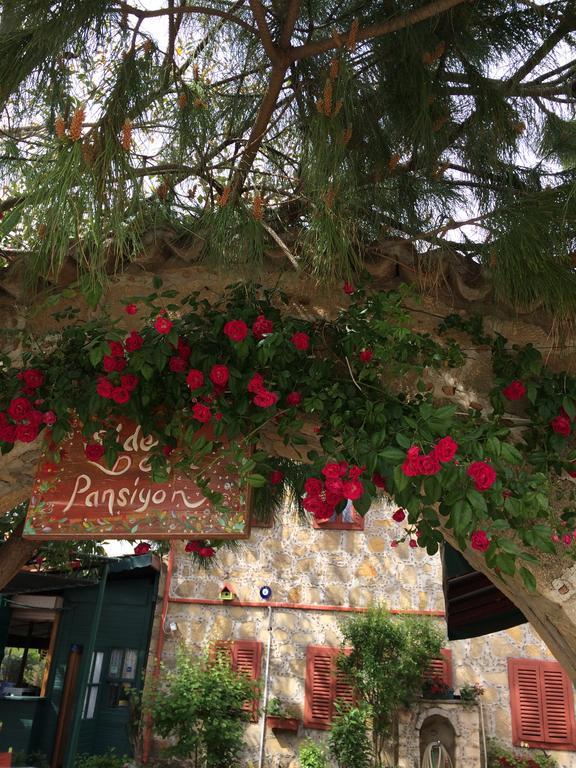 Gasthof Doga Pension *